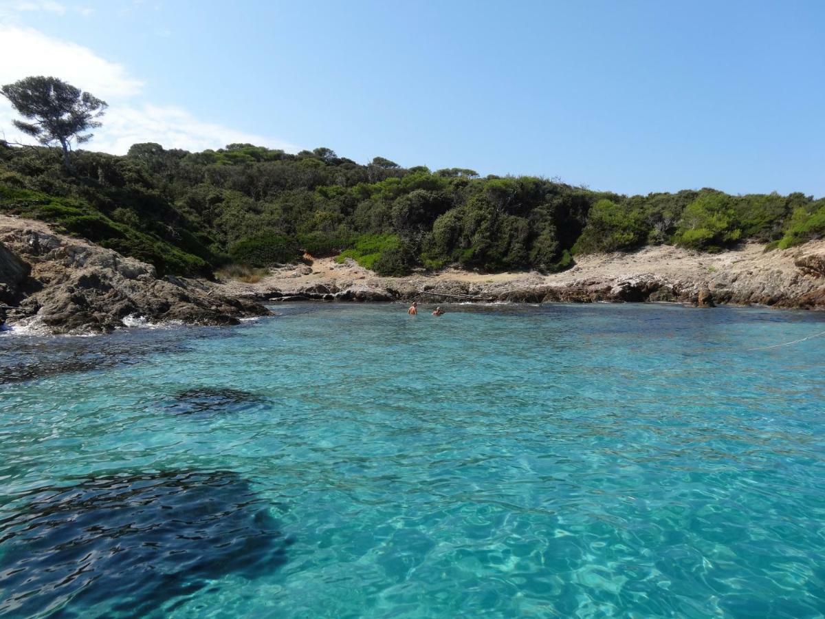 Apartament Petit Moulin-T3 Giens-Clim-Parking Hyères Zewnętrze zdjęcie